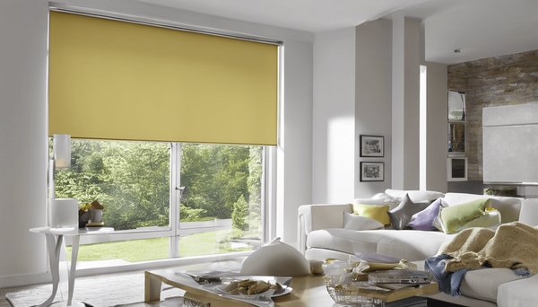 5 conseils pour sélectionner le store enrouleur idéal chez soi